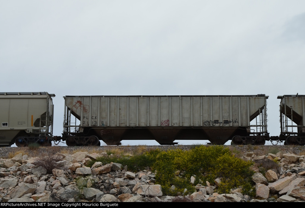 PLCX Covered Hopper with graffiti